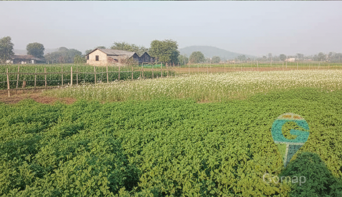 farm land nashik hivargaon2 1