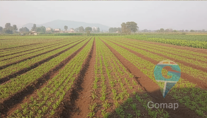 farm land nashik hivargaon3 1
